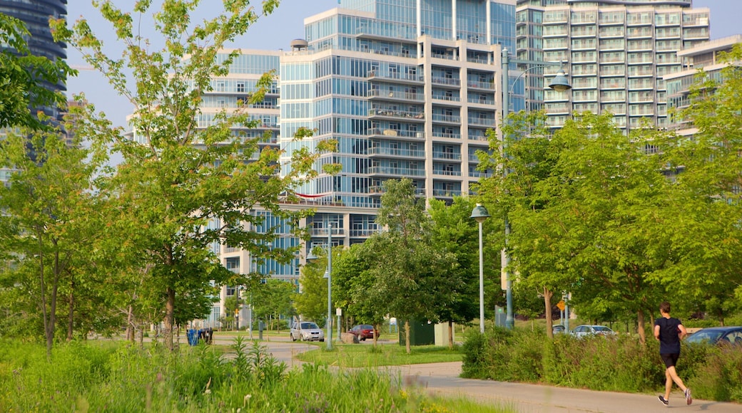 Etobicoke fasiliteter samt by og hage i tillegg til en kvinne