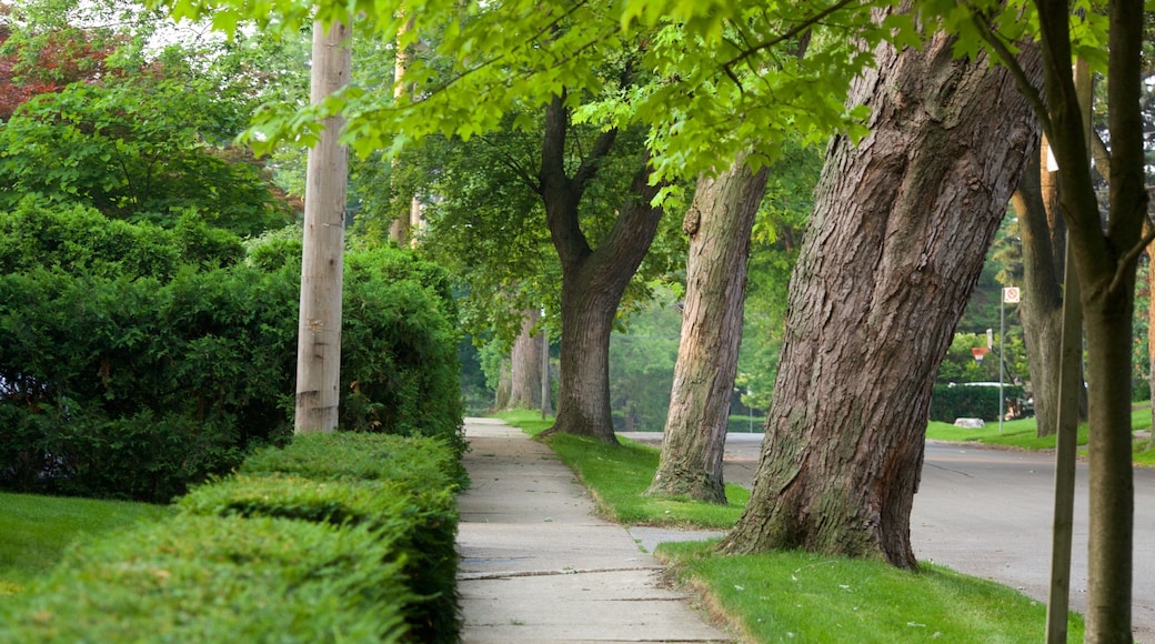 Etobicoke fasiliteter samt gatescener