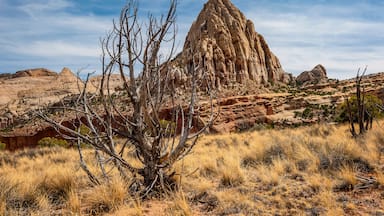 Pectols Pyramid, Capitol Reef National Park. Named for Ephraim Portman Pectol, a man instrumental in the early efforts to establish protection for the area that is now Capitol Reef National Park.