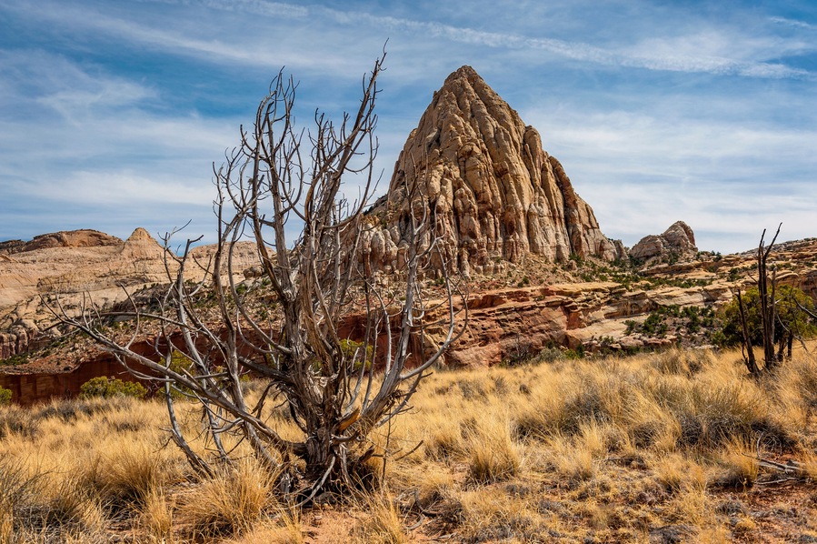Pectols Pyramid, Capitol Reef National Park. Named for Ephraim Portman Pectol, a man instrumental in the early efforts to establish protection for the area that is now Capitol Reef National Park.
