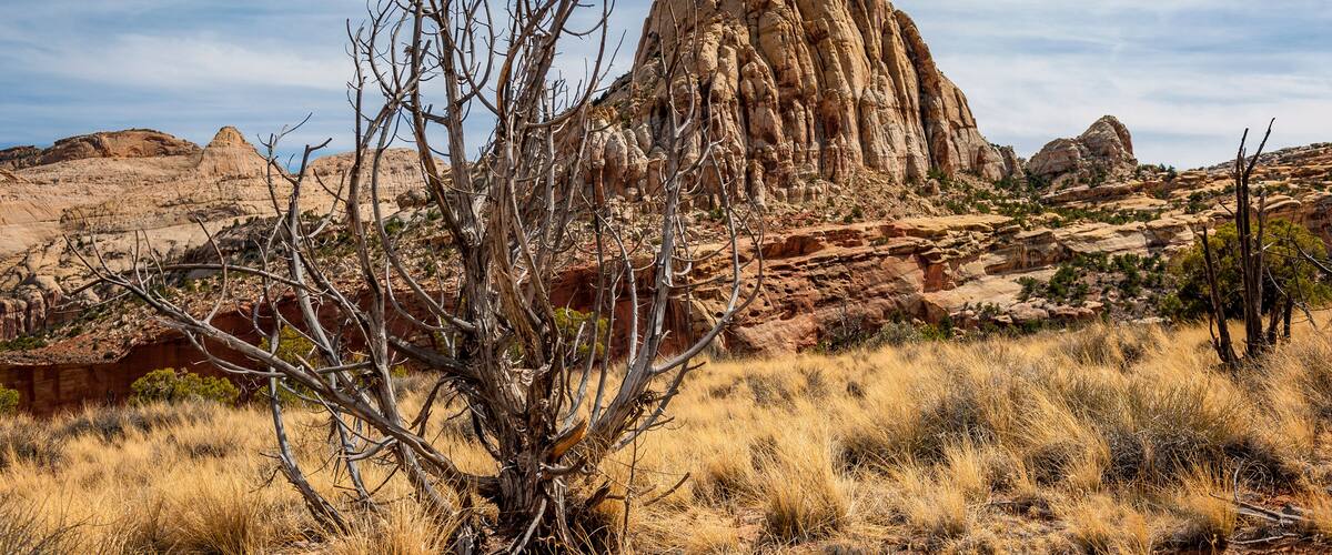 A desert landscape with a prominent rock formation and sparse vegetation.