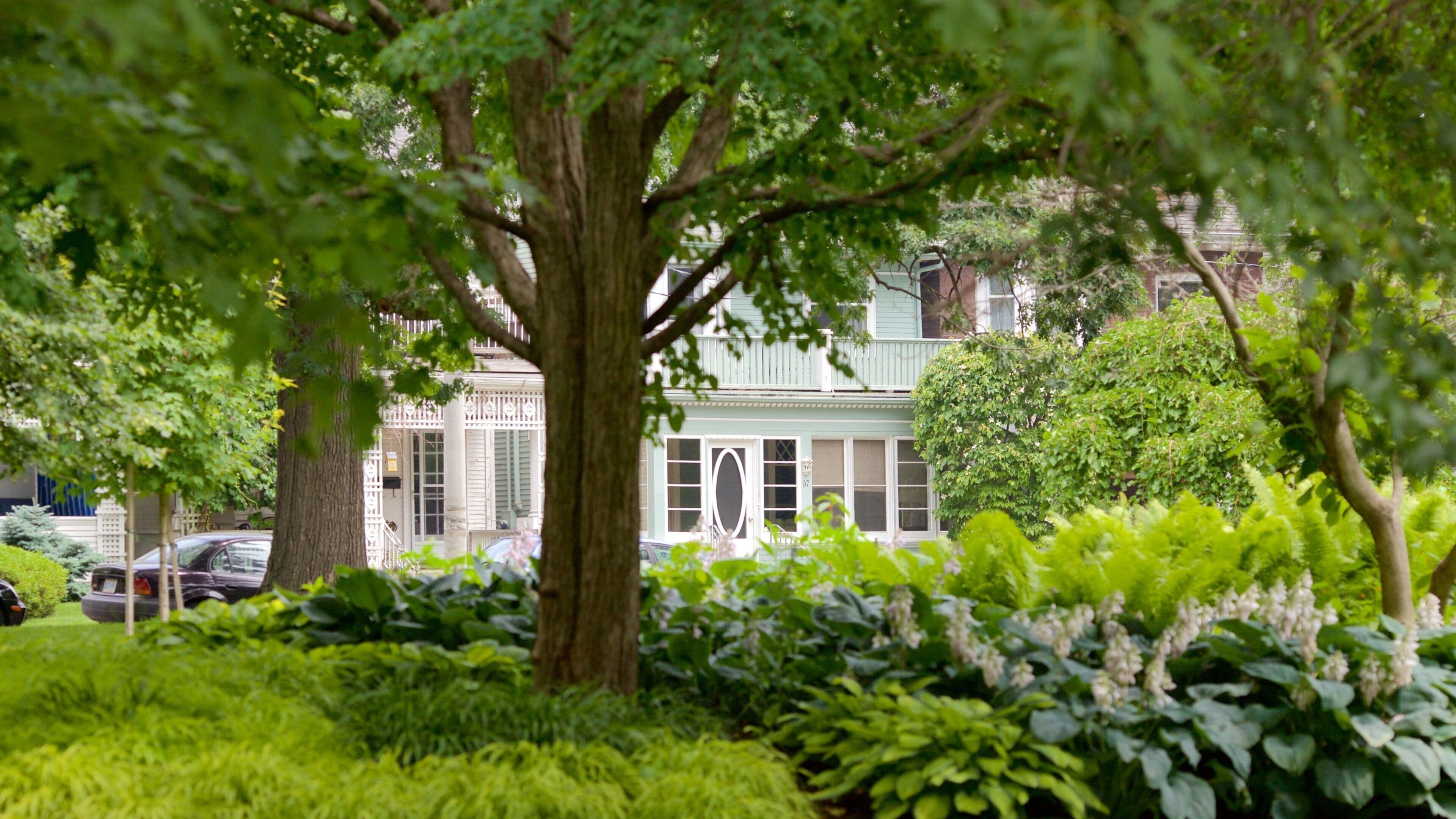 Lush greenery surrounds historic building in Scarborough Village, Toronto, during a tranquil afternoon
