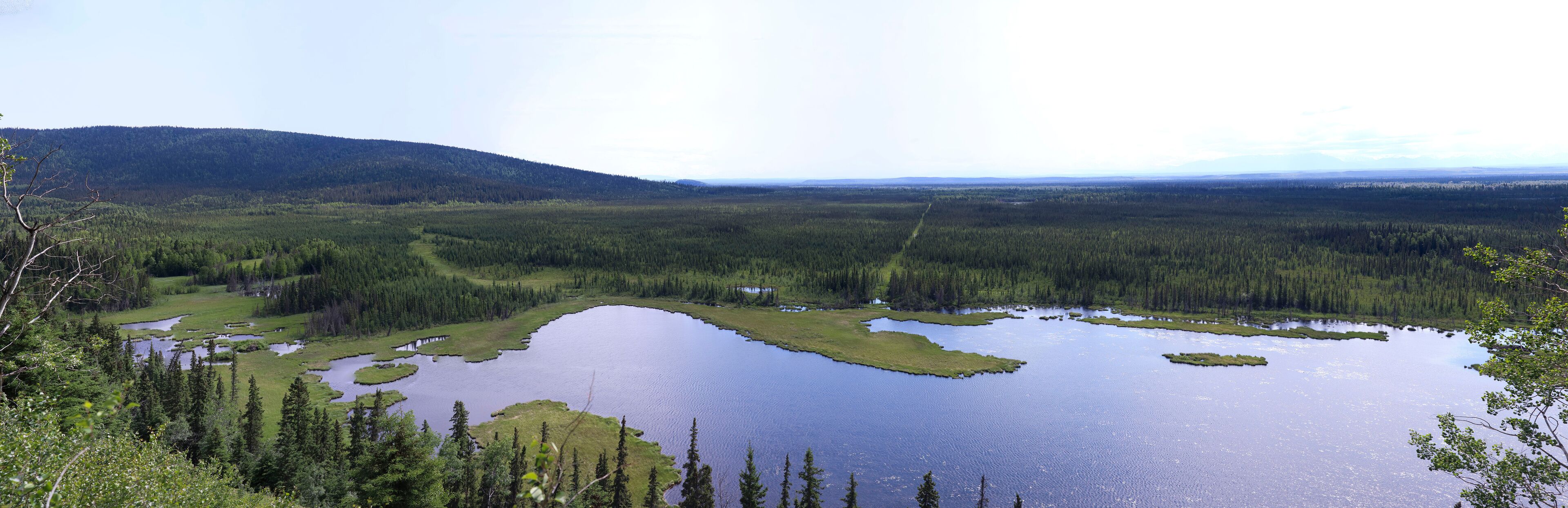 Overlooking Moose Pond in interior Alaska on a spring day. 