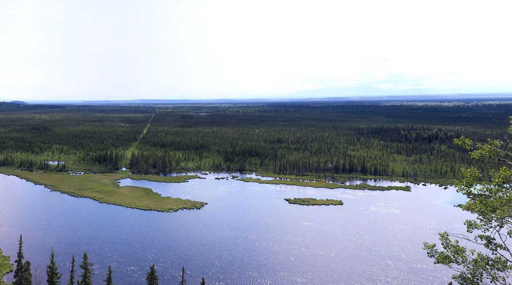 Overlooking Moose Pond in interior Alaska on a spring day.