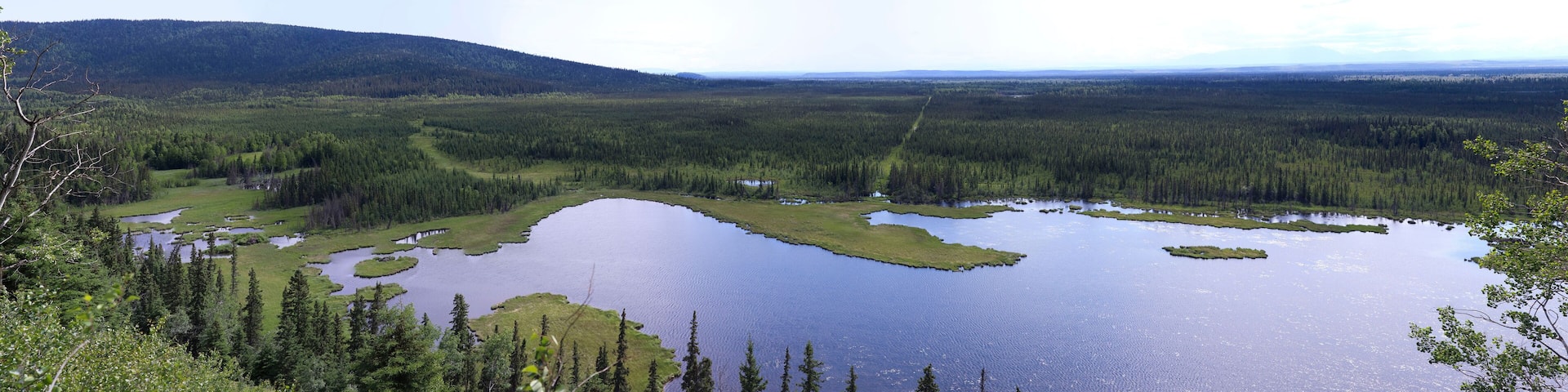 Overlooking Moose Pond in interior Alaska on a spring day.