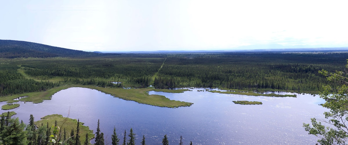 A lake surrounded by dense forest and distant mountains.