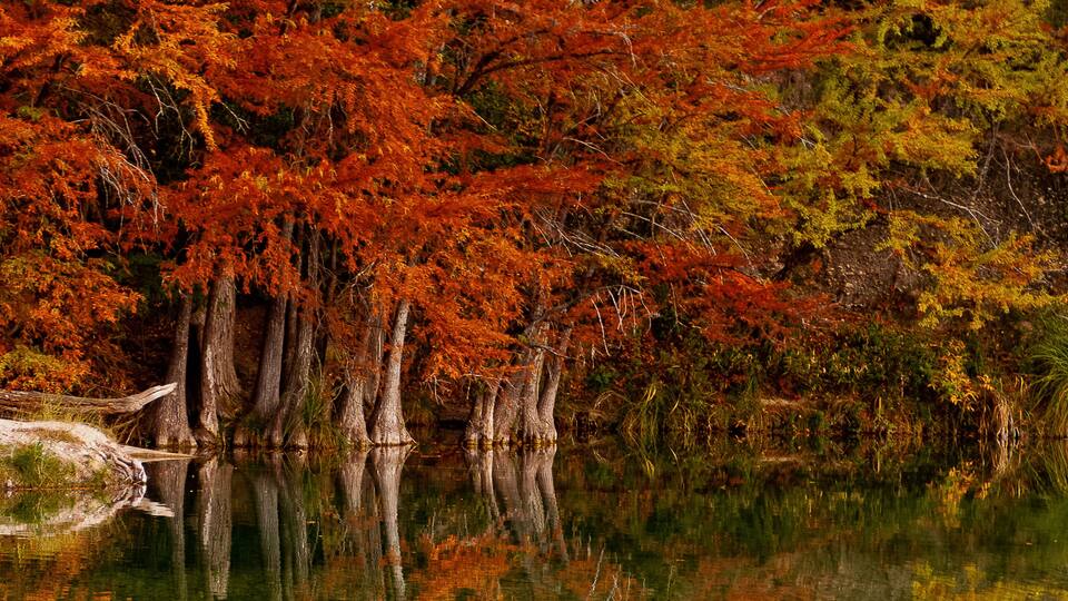 A serene autumn landscape with a calm lake reflecting trees with red and orange foliage.