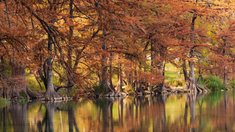 A serene autumn landscape with trees reflecting in a calm body of water.