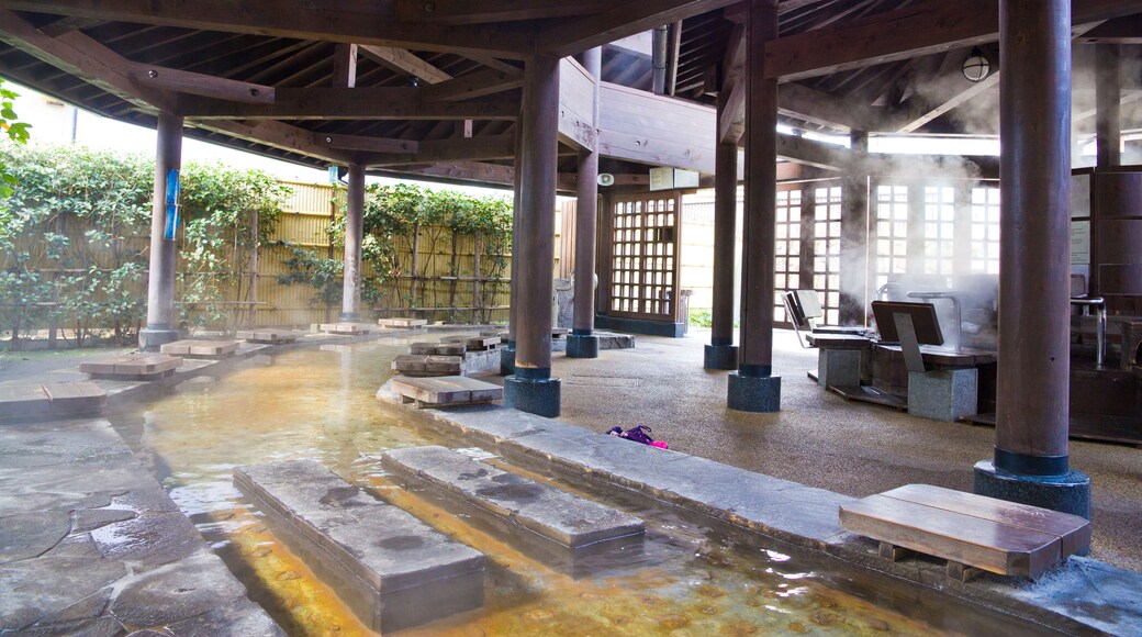 Beppu Onsen is a group of hot springs in the city of Beppu, oita in Japan. Beppu Onsen is divided into eight major hot spring areas known as "Beppu Hatto"