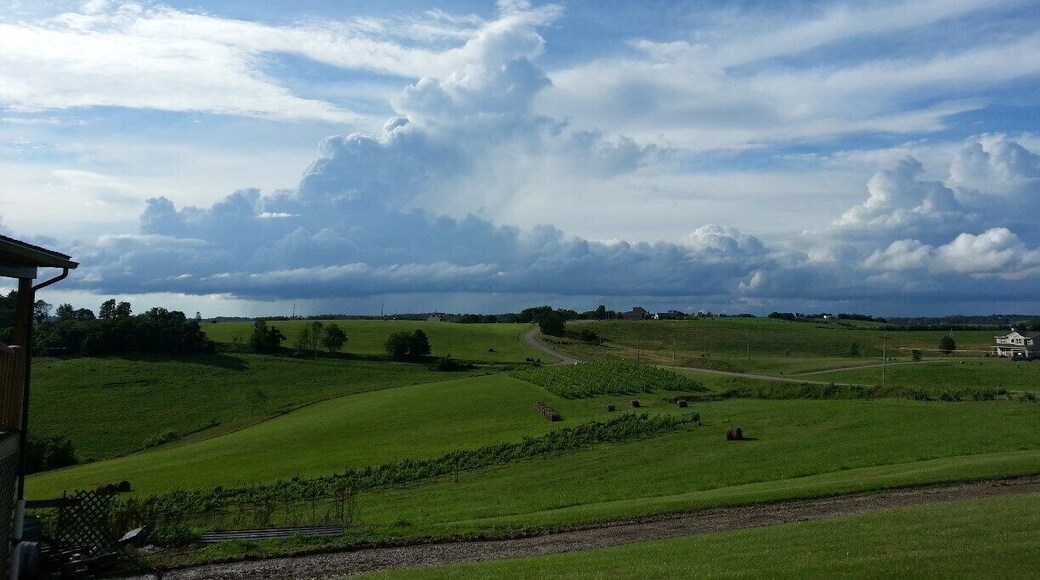 We love Terra Cotta Vineyards, especially bar-b-que nights. This evening it was sunny at the vineyard, but rain could be seen in the west. The view from the south porch is tremendous as well.