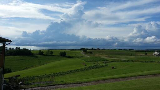 We love Terra Cotta Vineyards, especially bar-b-que nights. This evening it was sunny at the vineyard, but rain could be seen in the west. The view from the south porch is tremendous as well.