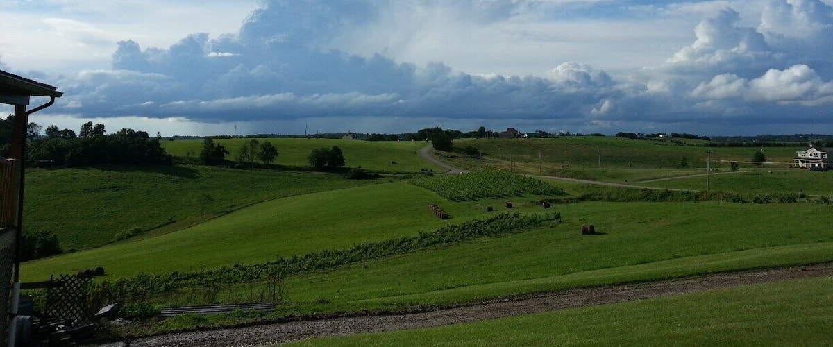 We love Terra Cotta Vineyards, especially bar-b-que nights. This evening it was sunny at the vineyard, but rain could be seen in the west. The view from the south porch is tremendous as well.