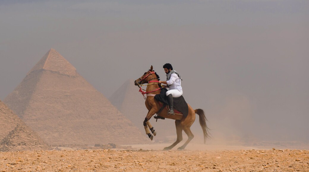 Arab horseman controlling rearing stallion on sandy giza plateau with three iconic pyramids rising through dusty haze dramatic egypt travel and