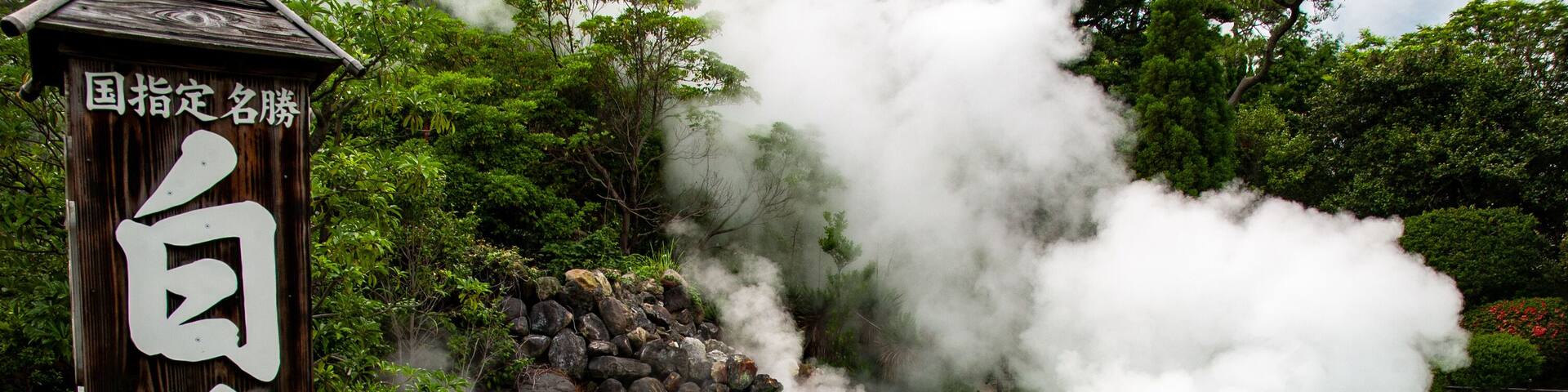 A hot spring with steam rising from the water, surrounded by greenery and a wooden sign with Japanese characters.
