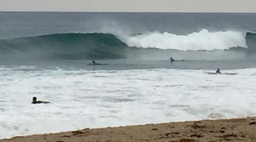 LA/Ventura County Line
Winter Surf 2016-2017
Yoga stretch, Paddle & Ride em...