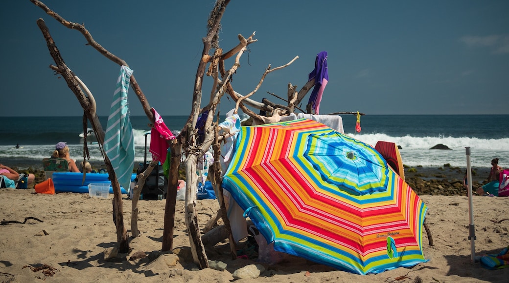 Beachfront Property. With a little driftwood and an umbrella you can be living in seaside luxury. This lean-to was the first thing that caught my eye when I stepped on the sand. If you look deeper, you will discover a grab bag of beach goodies in this shot. #trovember #malibu #beach #california