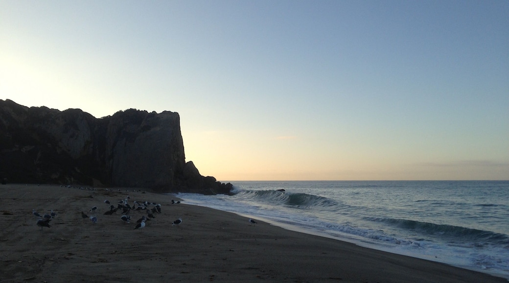Westward beach is fee for parking or can park on the northern end near sunset cafe and walk half a mile of flat ground or sand. They have showers and a rock wall for climbing. Next to Pirate's Cove. Can walk up to the top of cliff and get an over look.