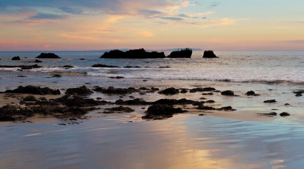 Shooting the sunset in Malibu is always a fulfilling experience, especially at low tide. While working out some compositions of the waves and the rocks, I noticed this female sea lion soaking up the last rays of the sun in the reflection of the wet sand. I approached her slowly, but she just wanted to keep on posing, allowing me to get the perfect shot. #BvSApplication #Malibu #ocean #beach #wildlife #animals #sunset #reflection #travel #photography #adventure #explore