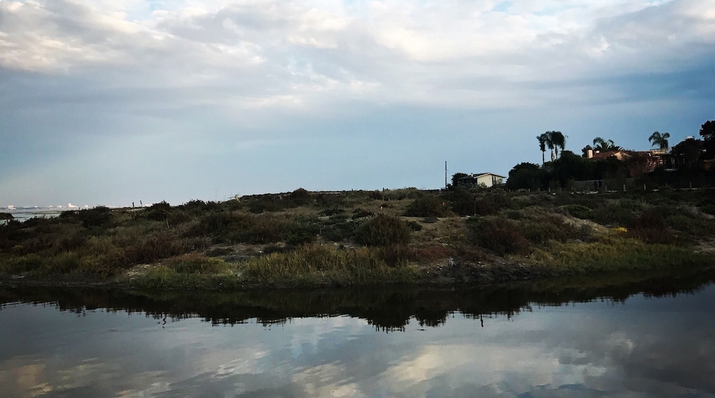 Calm before the storm