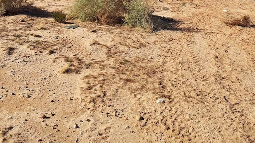 A boat in the desert