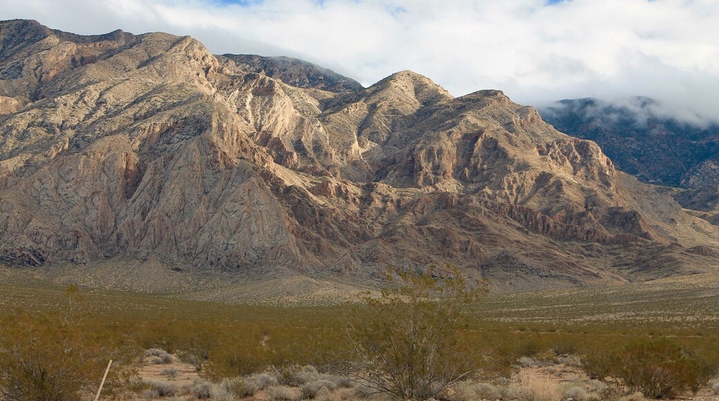 Mesquite, Nevada is bordered on the northeast by the Virgin Mountains. It’s a wild, wide open, beautiful area. #Mountains