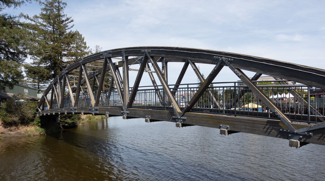 Balshaw Pedestrian Bridge crossing the Petaluma River in downtown Petaluma, California, with historic waterfront buildings along the riverfront.