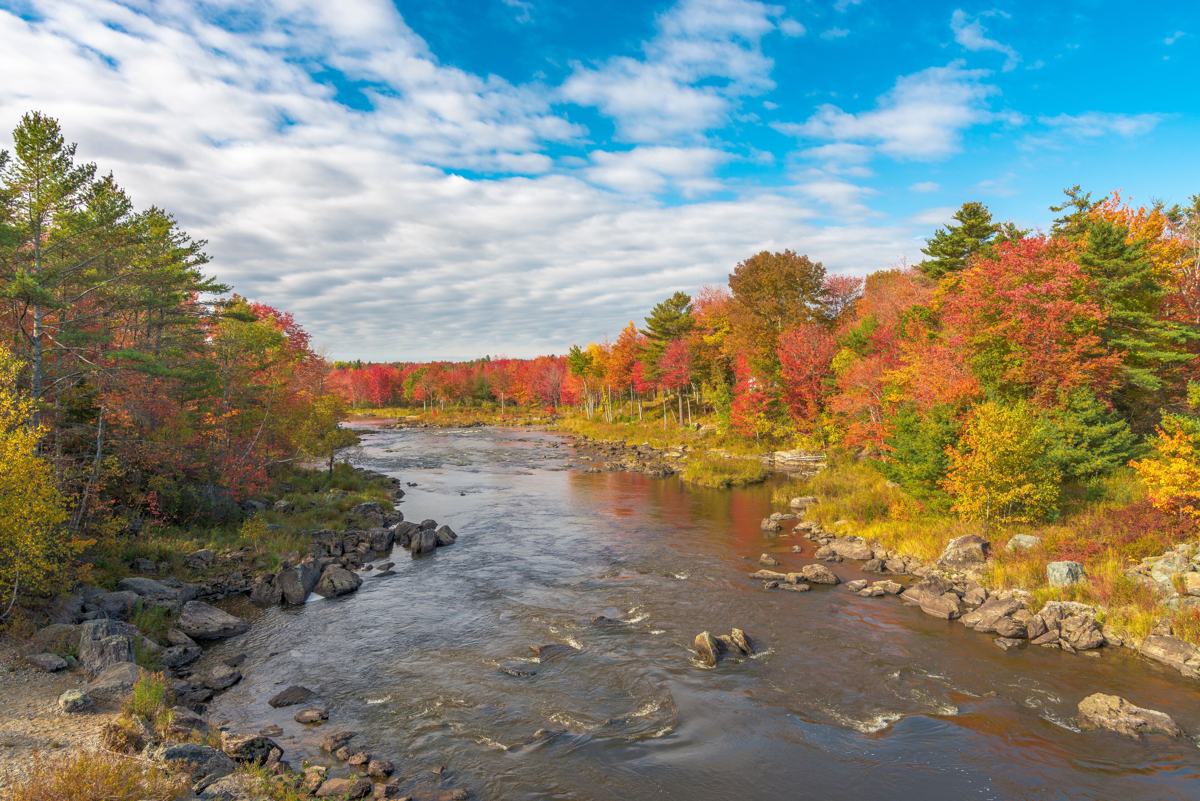 Ellsworth, Maine, during autumn leaves.