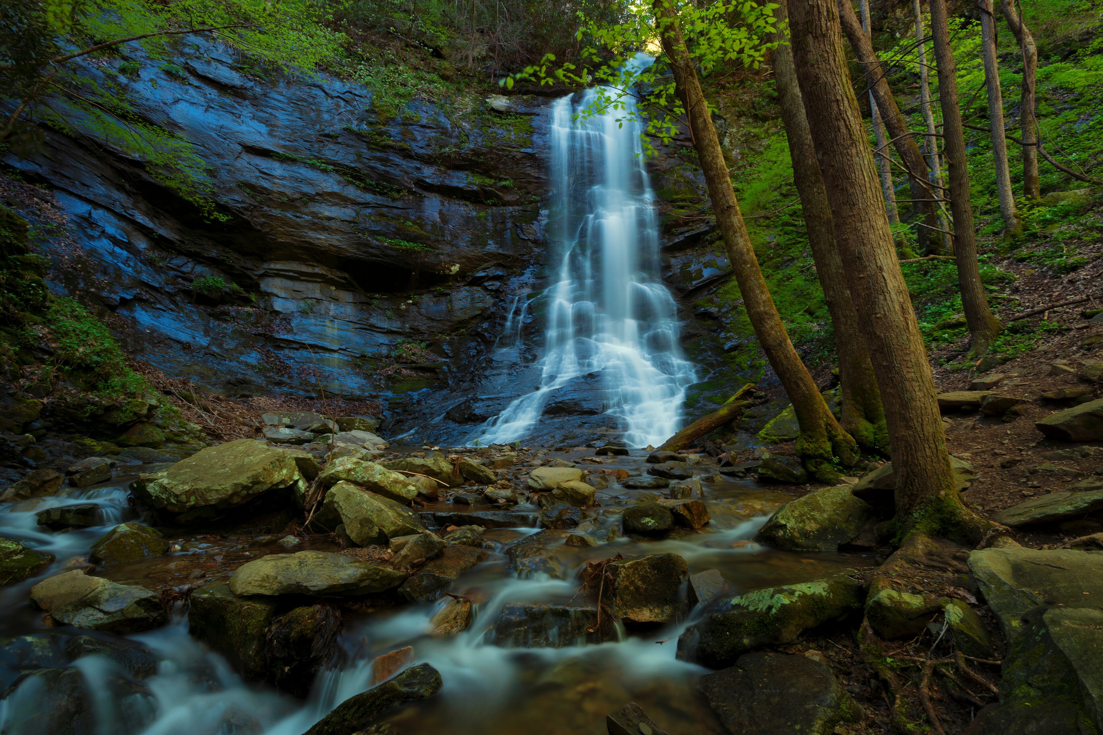A waterfall cascading over rocks in a forested area.