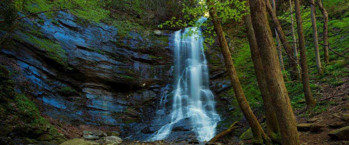A waterfall cascading over rocks in a forested area.