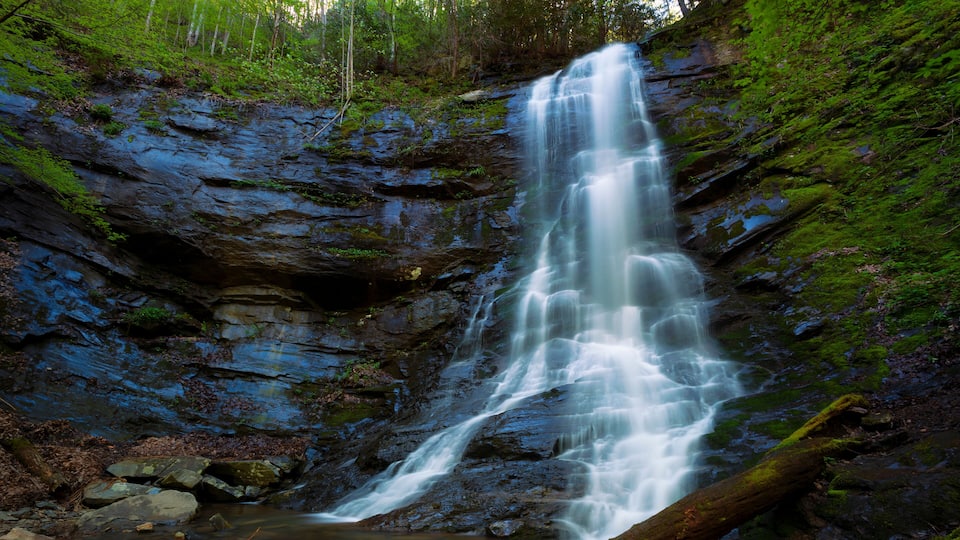 Sill Branch Waterfalls in Unicor County Tennessee