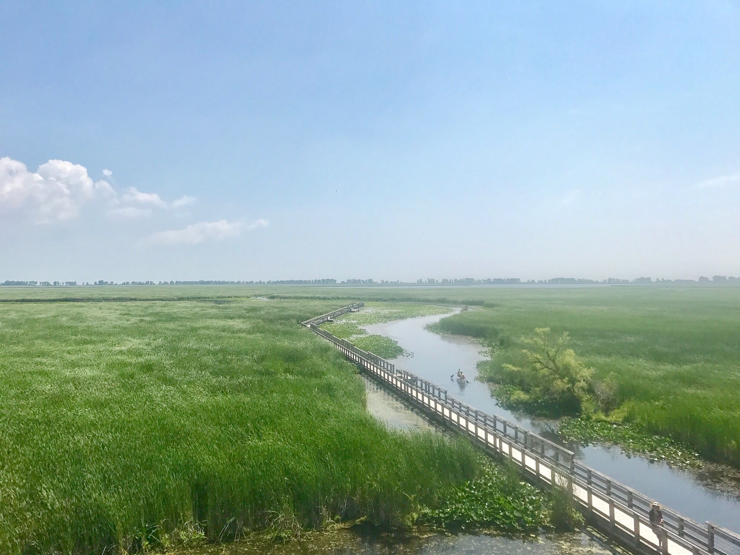 Such a serene place.