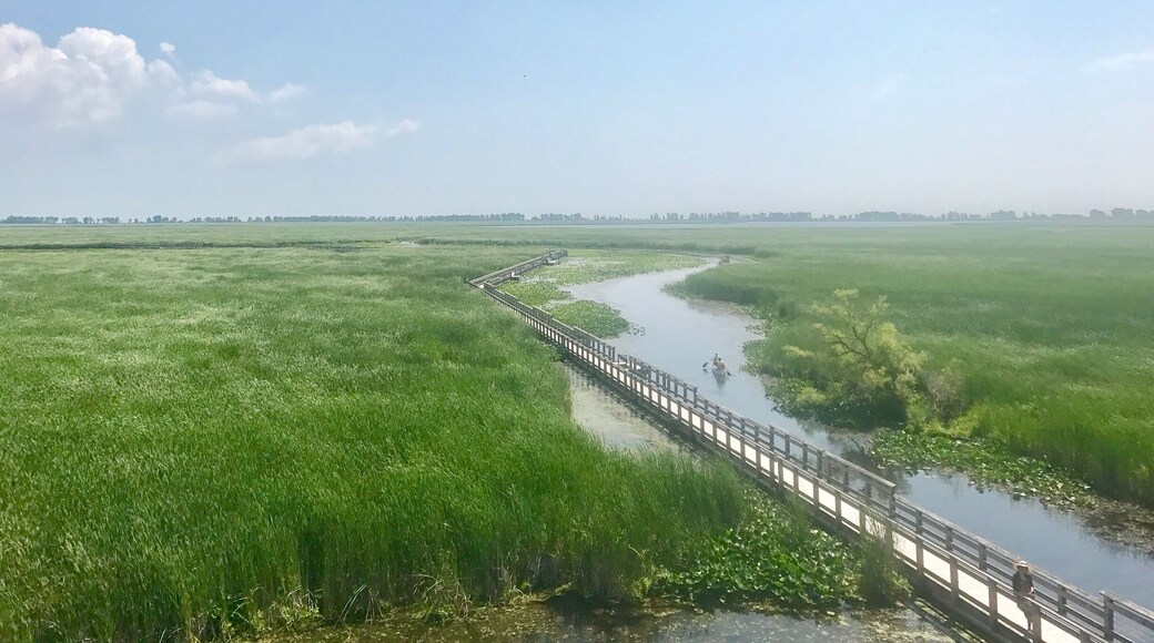 Such a serene place.