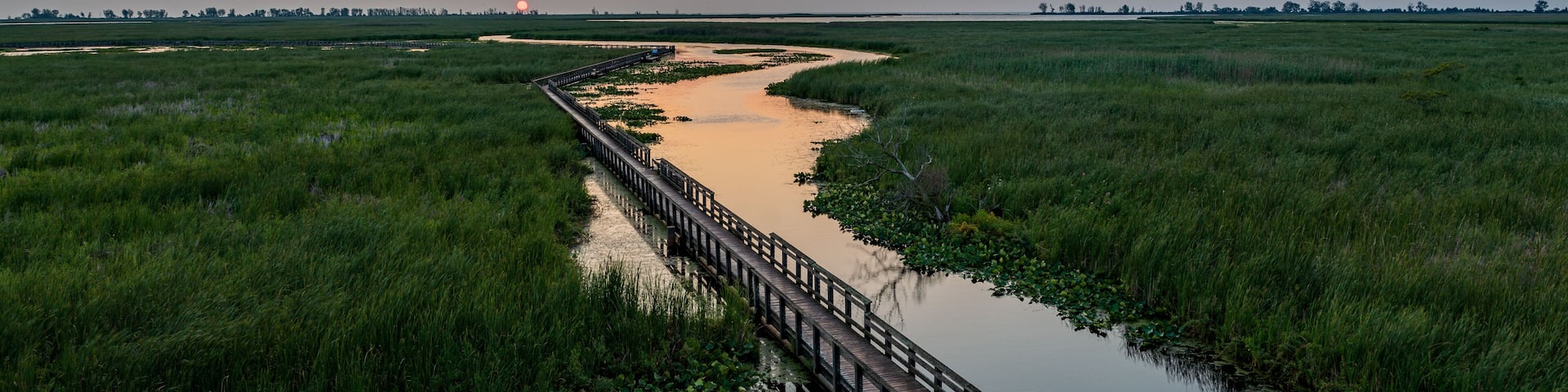 A wooden bridge over a calm river surrounded by lush green marshland.