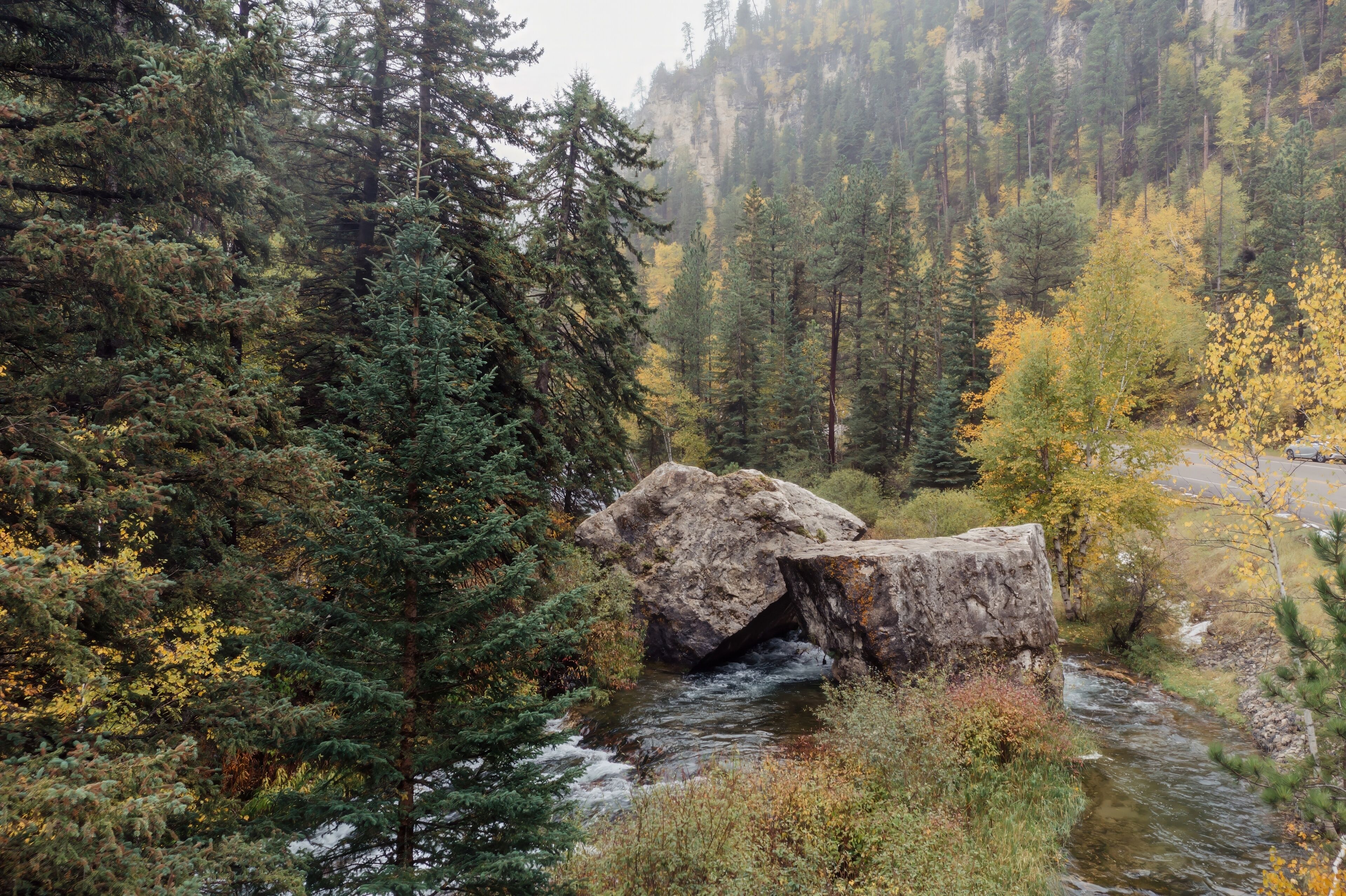Autumnal creek flowing through a rocky canyon. Colorful foliage surrounds the rushing water. , Lead, South Dakota, USA.