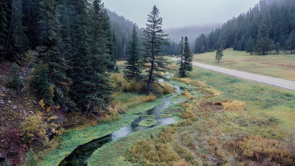 A river flowing through a forested valley with a road parallel to the river.