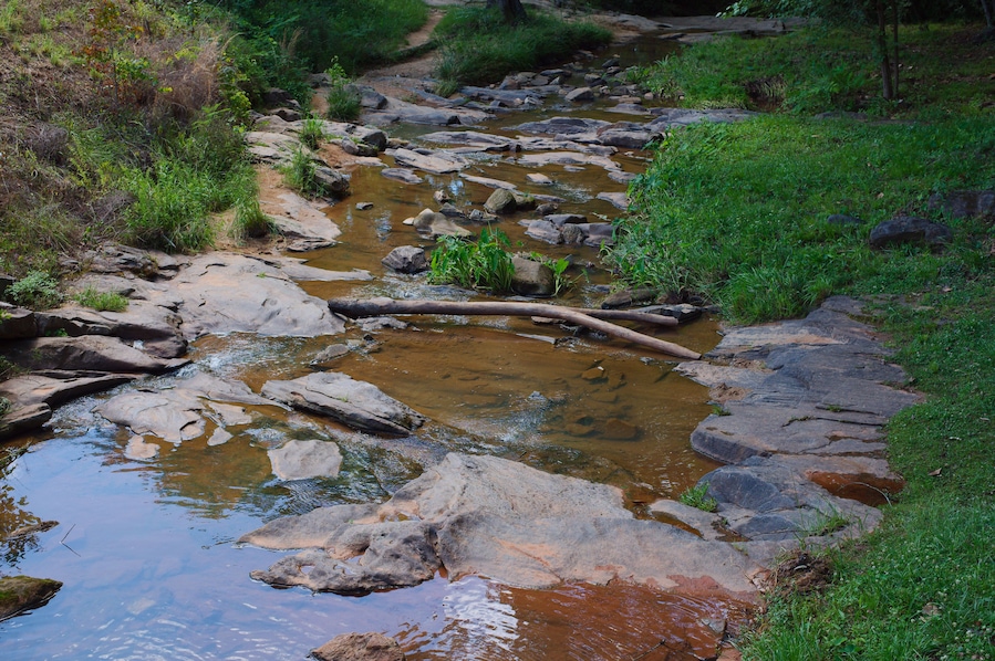 Shallow Rocky Stream Flowing Through Green Grassy Creek Bed in Natural Woodland at Park in Opelika, Alabama , clear brown water, scattered logs and lush vegetation for a peaceful, natural outdoor scen