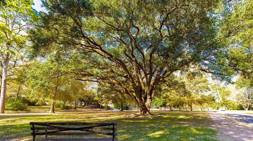 Cloverdale Park, Montgomery, Alabama