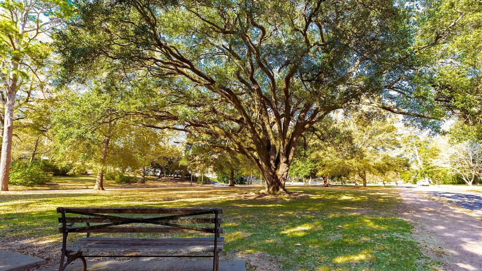Cloverdale Park, Montgomery, Alabama