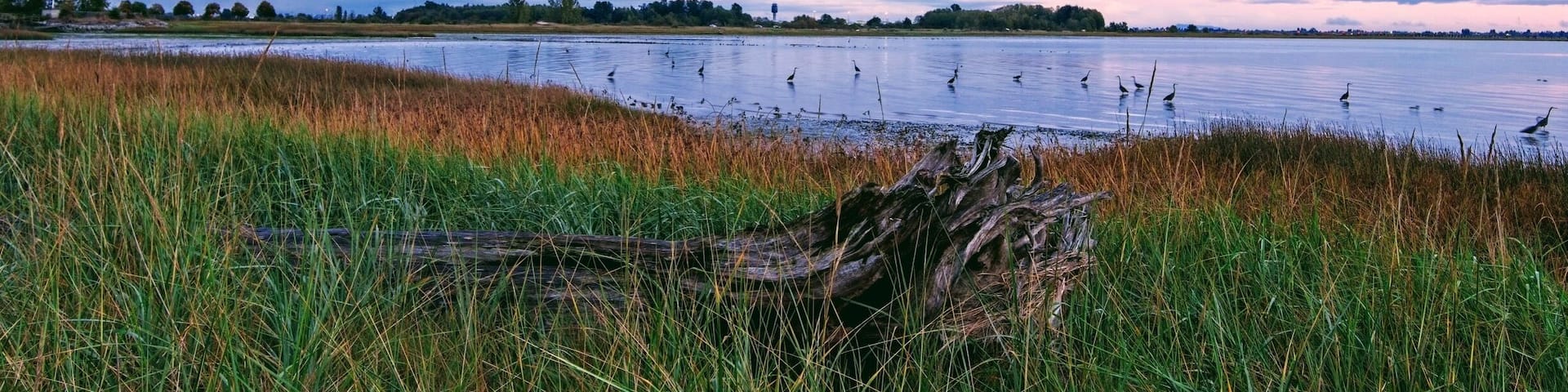 Rain has just stopped