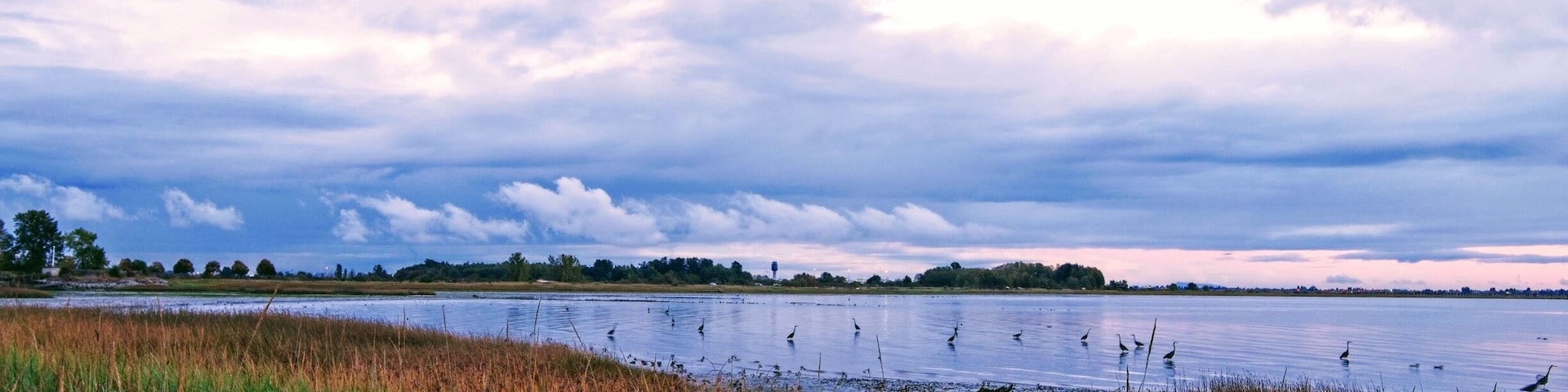 Rain has just stopped