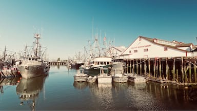 A harbor with several fishing boats docked at wooden piers, a white building with 'Gulf of Georgia Cannery' written on it, and a clear blue sky.