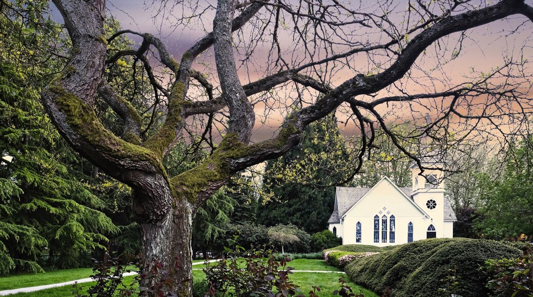 We don’t need to travel far to find a beauty