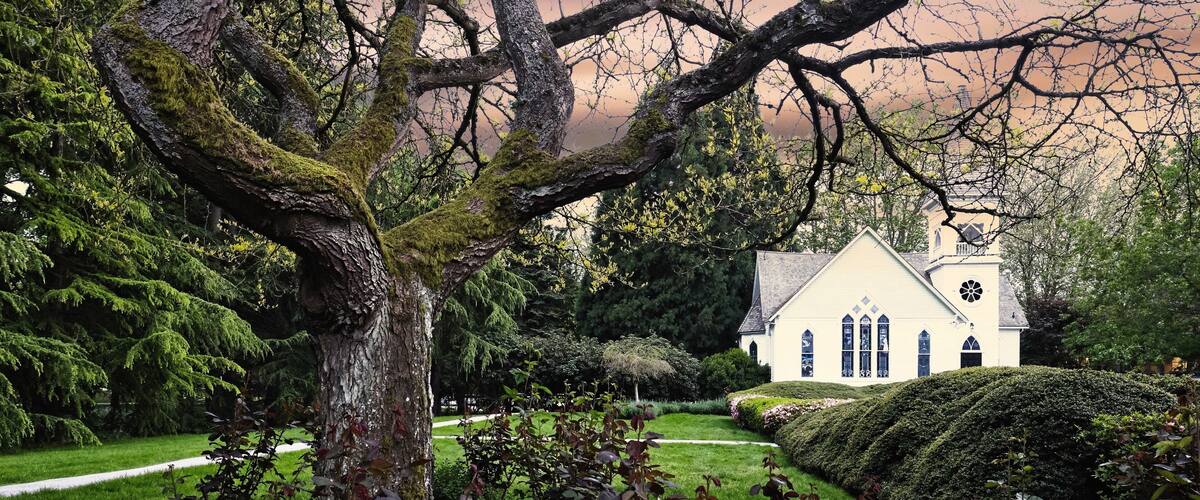 We don’t need to travel far to find a beauty