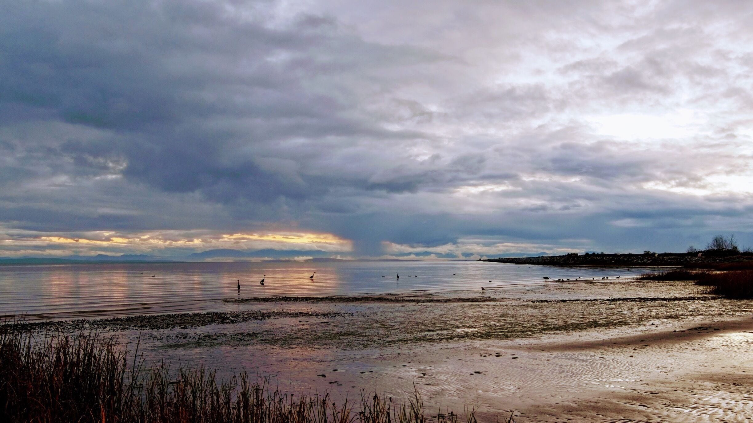 Rain has just stopped