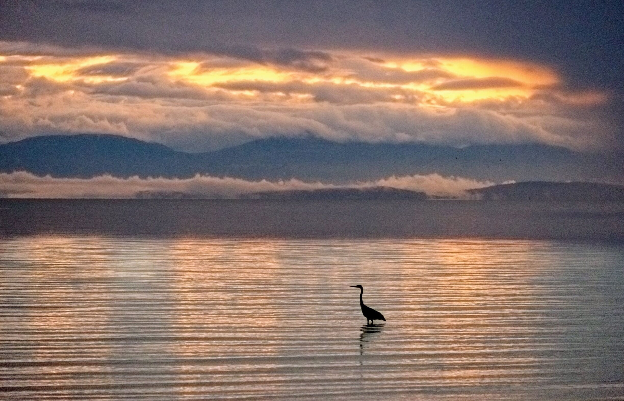 Rain has just stopped