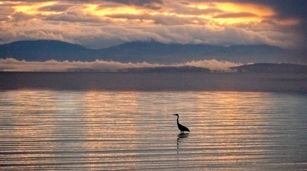 Rain has just stopped