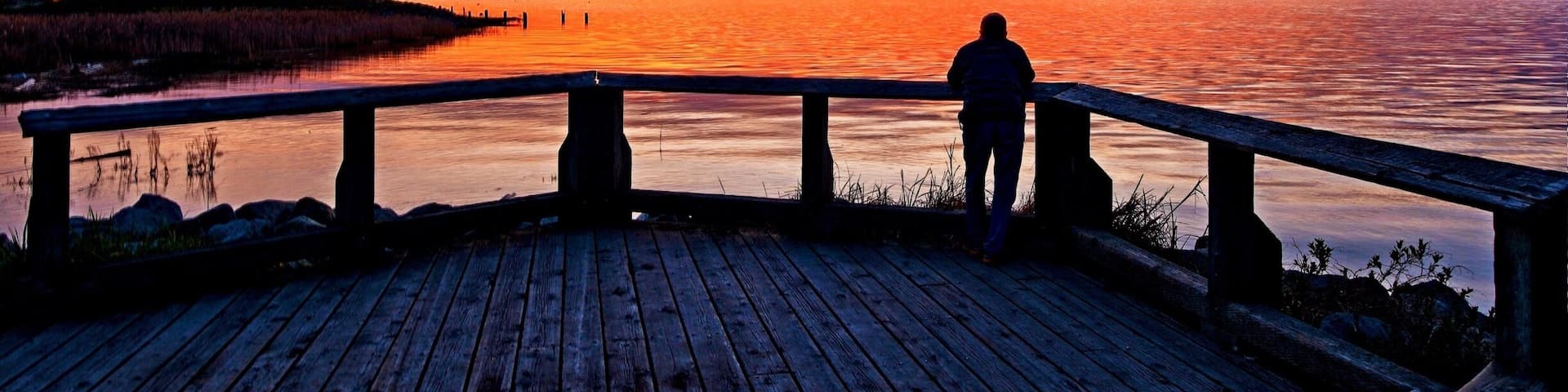 #Golden Photo Contest