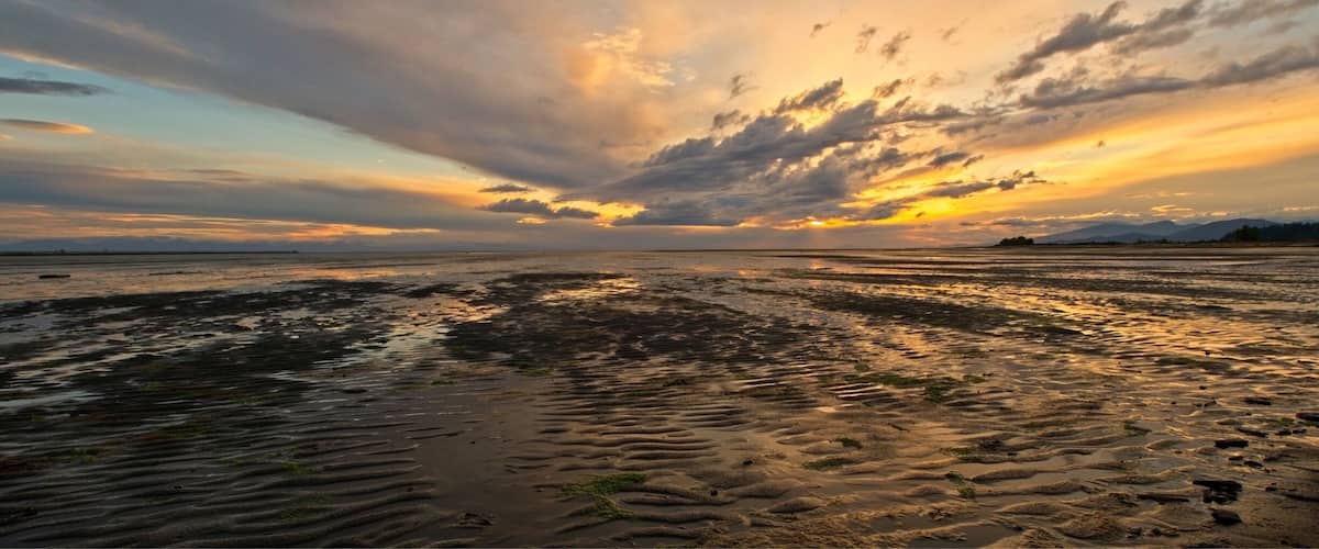 #Golden Photo Contest