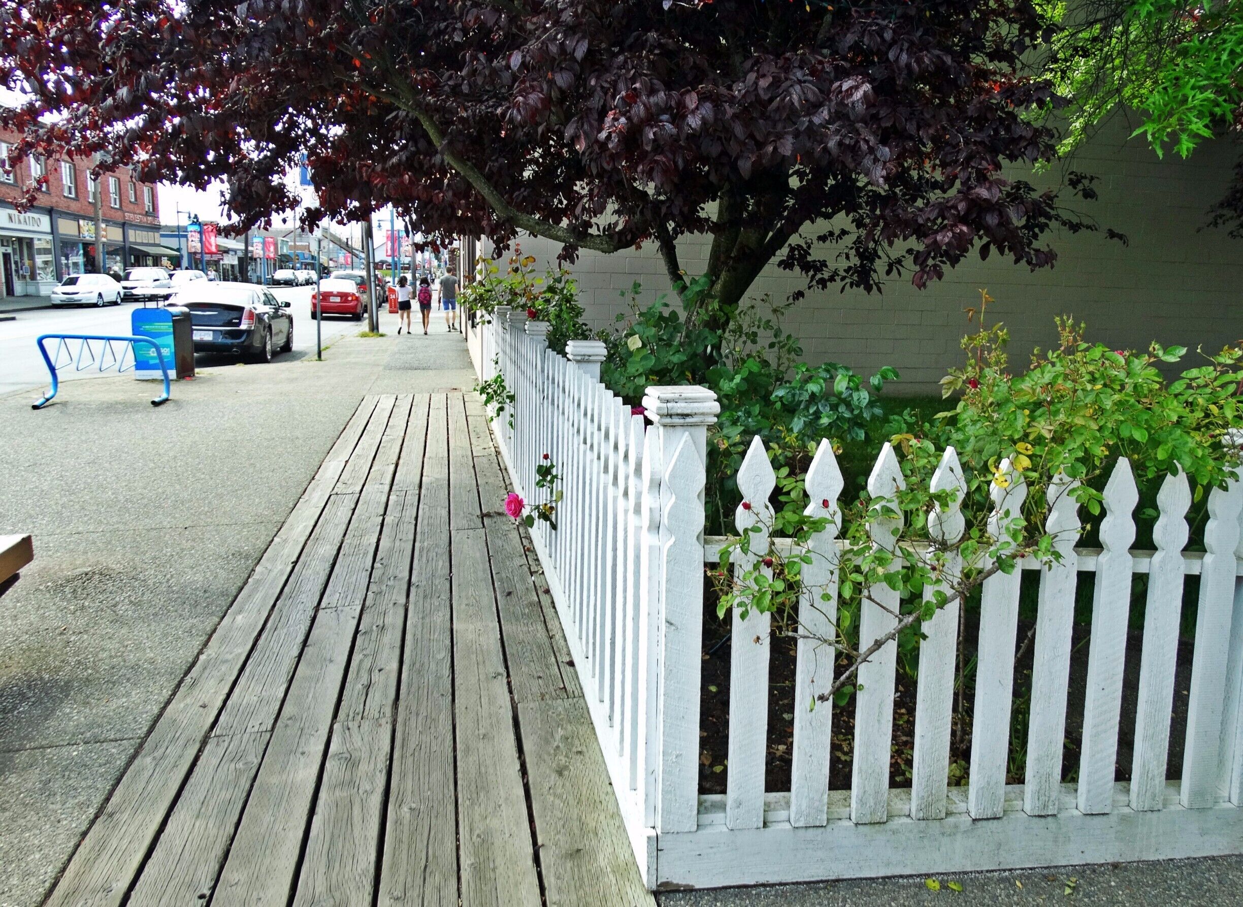 One of the pretty walkways through magical Steveston in British Columbia.
http://www.hepcathannah.com/exploring-steveston-bc-storybrooke/
#canada