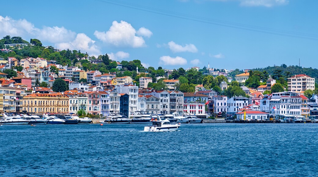 Arnavutköy Merkez